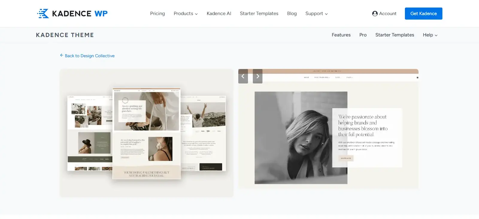 Kadence Theme official website for the 2026 Kadence Theme review